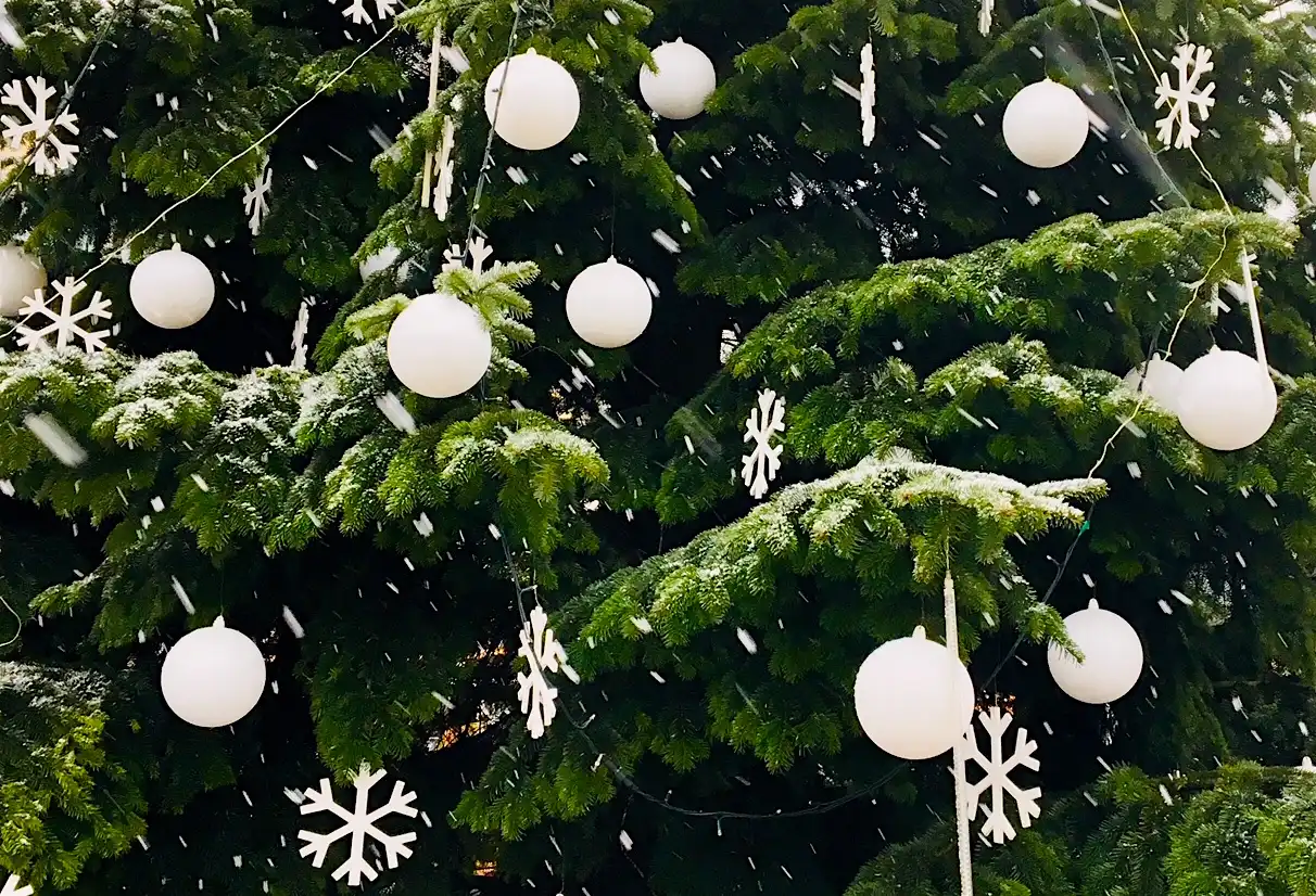 MERRY CHRISTMAS